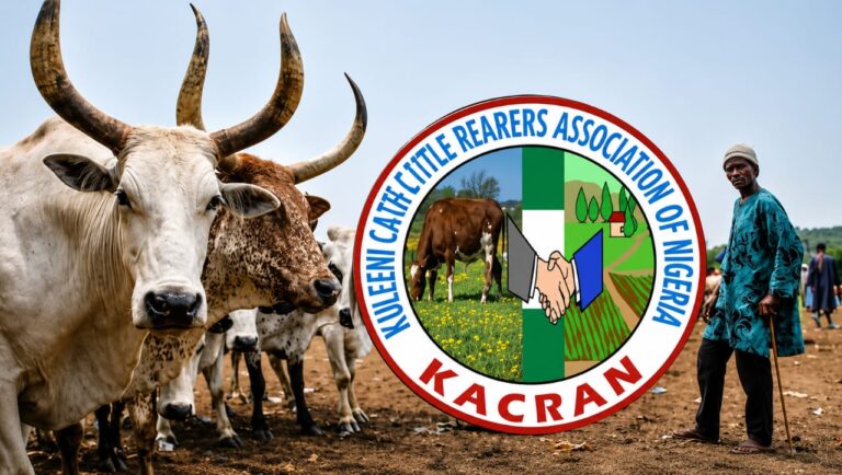 Cattle Rearers Ask FG to Address Grazing Routes Ahead Farming Season Cattle Rearers Ask FG to Address Grazing Routes Ahead Farming Season