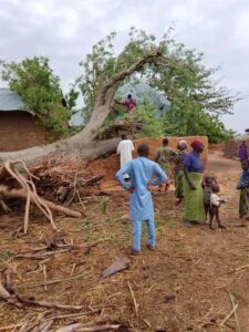 Windstorm Leaves Scores Homeless, Destroys 50 Houses in Gombe Communities