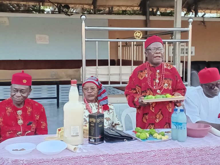Gombe: Igbo Community Celebrates 2026 New Yam Festival, Promotes Agriculture, Cultural Heritage